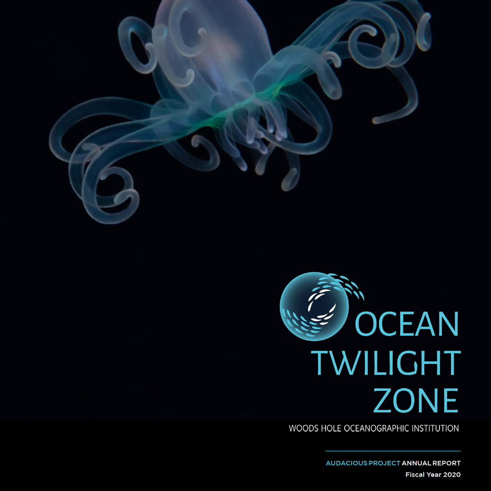OTZ 2020 annual report cover