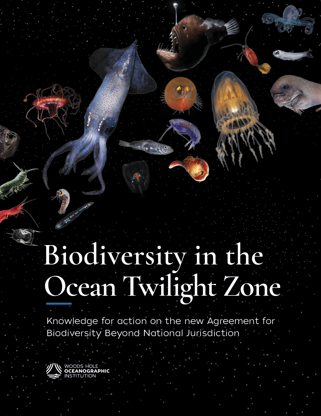 otz biodiversity report